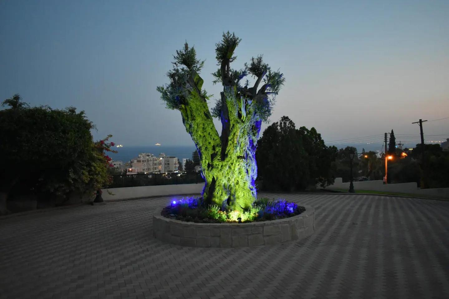 Olive Tree Apartments Limassol Kültér fotó